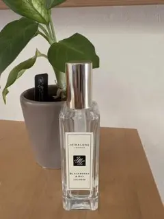 Jo Malone Blackberry & Bay コロン 100ml