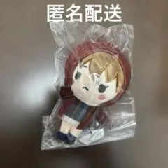 名探偵コナン セガラッキーくじ G賞ぬいぐるみマスコット 灰原哀