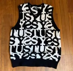 STUSSY SPORT ベスト/fleece vest サイズL 値下げ可 - メルカリ