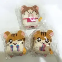 とっとこハム太郎　かぷっこフレンズ　2 ガチャ　平成　まいどくん　トラハム