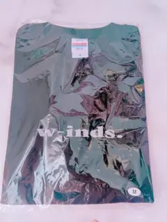 2026GOLDENSINGLES黒TシャツMサイズ - メルカリ