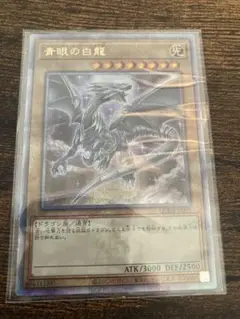 2025年最新】青眼の白龍 25th qcdbの人気アイテム - メルカリ