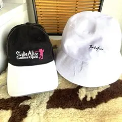 Item thumbnail for item 1e300f7a-65c4-4be1-a20c-7db80690694c