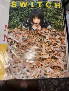 のん(能年玲奈)　ポスター　激レア30枚　圧巻のB1サイズ　タワーレコード タワーレコード のん NO MUSIC, NO LIFE? ポスター 能年玲奈