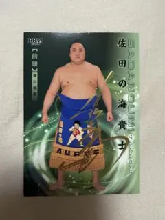 新品•未使用•非売品】相撲 遠藤関化粧廻し バスタオル - メルカリ