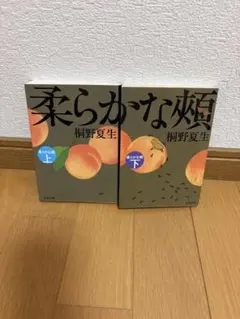 Item thumbnail for item 2af3d2fe-ba54-48a8-8b1b-16389994490f