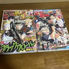 週刊少年ジャンプ 2015年12号】ブラッククローバー連載開始号 - メルカリ