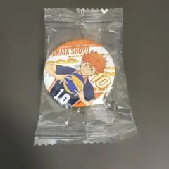 【24h以内発送】ハイキュー!! 日向翔陽 缶バッジ くら寿司