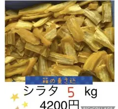 Item thumbnail for item 14e36815-0e35-47cd-a8fc-249a45bc982d