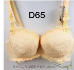 トリンプ プレミアム レッドレーベル0063 ブラジャー D65