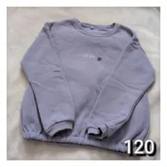 裏起毛トレーナー　ぶどう　グレープ　120cm　パープル