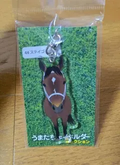 2026年最新】ステイゴールド 競馬の人気アイテム - メルカリ