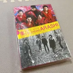 嵐 カレンダー '09.4―10.3(新品未使用) 蜷川実花