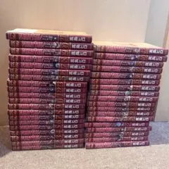 フェアリーテイル 漫画 セット