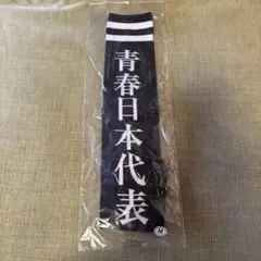 ●●新しい学校のリーダーズ ソックス (紺色)女子 Mサイズ　靴下●●