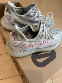 adidas YEEZY BOOST 350 V2 Blue Tint 28cm