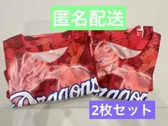 中日ドラゴンズ 昇竜ユニフォーム 2枚セットのサムネイル