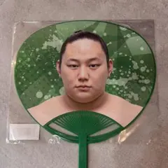 Item thumbnail for item 580b3480-bde0-48bc-8dd4-0046618e6d16