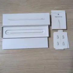 Apple Pencil 第二世代 + Pencil Tips (4個)