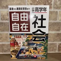 小学高学年 自由自在 社会