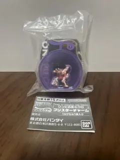 ワンピの実 ミクロ ブリスターチャーム
