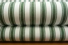 A421・綿100％・W幅・ストライプ柄・オフ白/グリーン系2m・ブロード