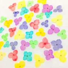 ✿商談中✿ 79 押し花セット✿即日発送 ♡ハンドメイド 素材 小花 レジン