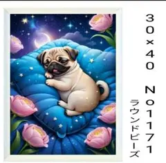 DAIFUKU(⁎⁍̴̛ᴗ⁍̴̛⁎)様 リクエスト 2点 まとめ商品