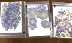 Item thumbnail for item 80c8b6e9-ff18-4156-a0e3-376596e8552c