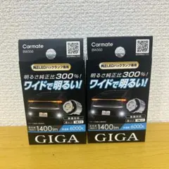 未使用 Carmate LEDフォグバルブ BW584 3500lm - メルカリ