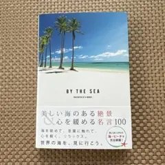 まじ様 リクエスト 2点 まとめ商品