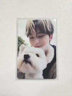 ZB1 ゼベワン NEVER SAY NEVER 封入 デジパ レオ メテュ