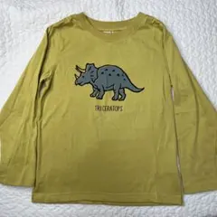 プティマイン　恐竜　ロンT 120