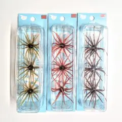 2025年最新】旧コイケの人気アイテム - メルカリ