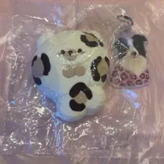 どんどん スクイーズ