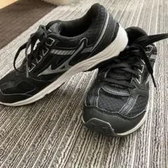 Item thumbnail for item acb16507-db3b-456a-959f-0a4c961c2736