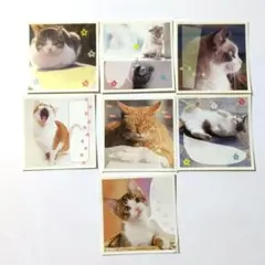 Item thumbnail for item 165f5d52-44c8-4031-9c1c-d49e5ff7fbdd