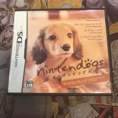ニンテンドックス　ダックス&フレンズ　DS ソフト
