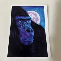 ゴリラ　メッセージカード