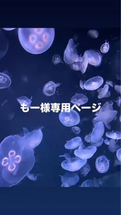 もー様専用ページ（みみっち）