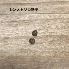 2025年最新】オベサ鉄甲の人気アイテム - メルカリ