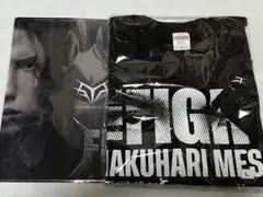 【新品】THE FIGHT 応援Tシャツ　ストテラ　ファイル　SIM MFS