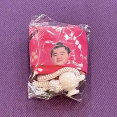 【大相撲ガチャ】〈湘南乃海〉ミニ巾着のサムネイル