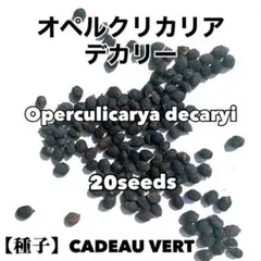 2026年最新】オペルクリカリアの人気アイテム - メルカリ