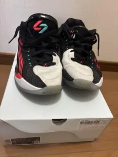 NIKE JORDAN LUKA 4 PF 28.5cm