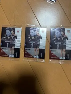 西田有志 バレーボール 日本代表 カード 3枚セット