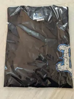 Item thumbnail for item 2958b7c4-6572-499f-b9aa-031fa8872896