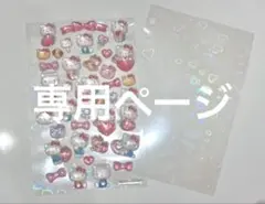 専用ページ