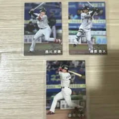 プロ野球チップスカード　千葉ロッテマリーンズ3枚組