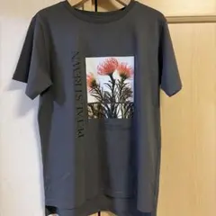 フォトプリント 半袖Tシャツ チャコールグレー
